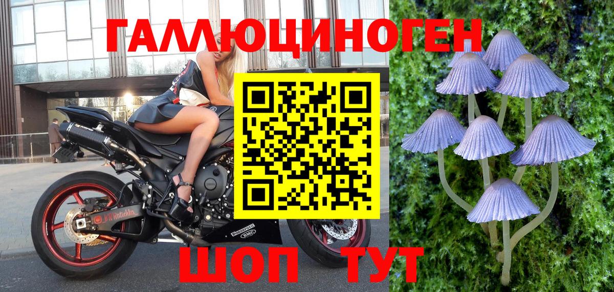 Галлюциногенные грибы мицелий  Вход с VPN  Галлюциногенные грибы прущие грибы  Нижнеудинск 